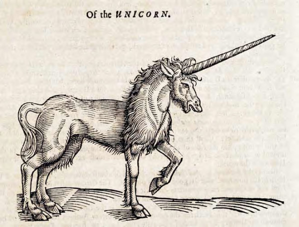 The “essence of dragons blood, unicorns horn and the oil of mans skull” – Tales from a 17th century apothecary physician